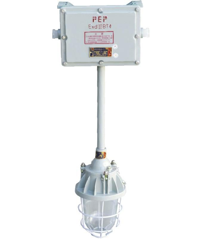 單頭防爆應急燈